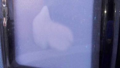 Wohnwagenfenster beschlagen Was Sie jetzt dagegen tun können