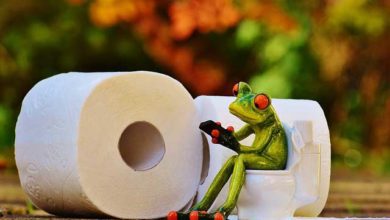 Campingtoilette Was es vor dem Kauf zu wissen gibt