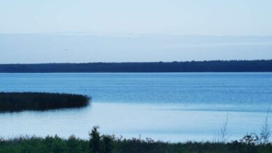 Wohnmobilstellplatz Ratzeburg am Ratzeburger See: Ein Geheimtipp