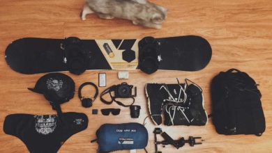 Wanderurlaub mit Katze: ein Erlebnis für dein Haustier