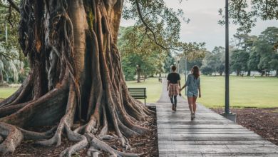 Wie man in Australien das perfekte Camping-Abenteuer plant