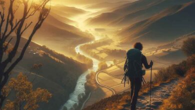 Eine Woche Jakobsweg – so bereiten Sie sich richtig vor