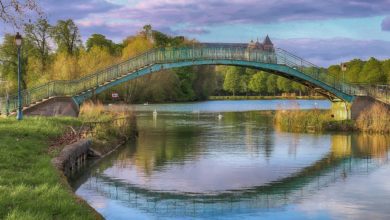 Wohnmobil Rundreise Champagne - Mehr als nur malerische Weinlandschaften